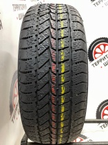 DoubleStar Winterking DW02 205/60/16