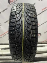 Pirelli Winter Carving R15 195/55