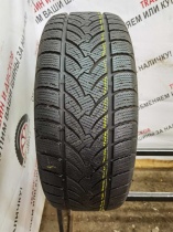 PLATIN RP 60 Winter 235/55 R17 103V