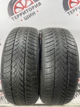 Triangle WinterX TW401 R17 205/55