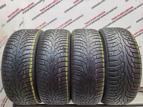 Nokian WR D4 R17	225/55