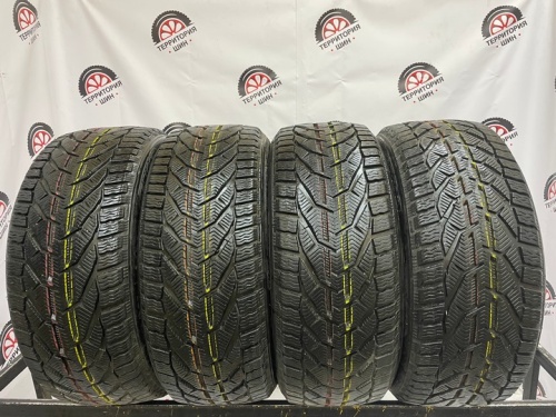 Tigar Winter R18 245/45 110V