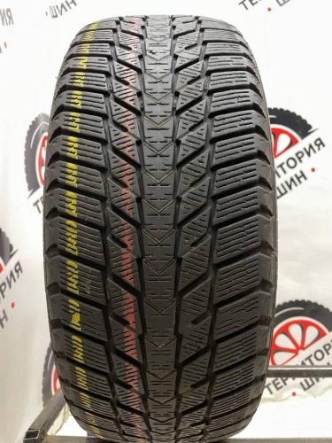 Nexen Winguard Ice Plus 215/55/17