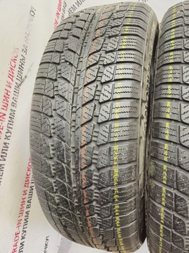 Sunny SN290 R17 225/60