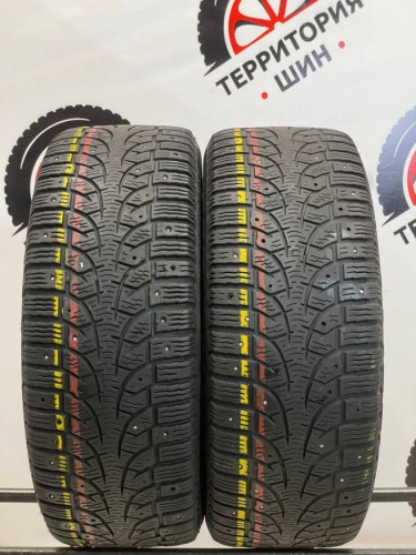Pirelli Winter Carving Edge R16 205/55