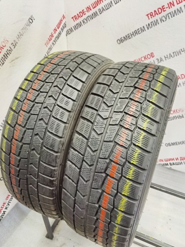 Dunlop Winter Maxx WM02 R17	205/45