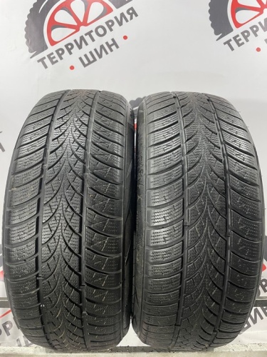 Triangle WinterX TW401 R17 205/55