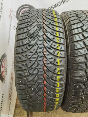Formula Ice Edge 205/55 91T R16