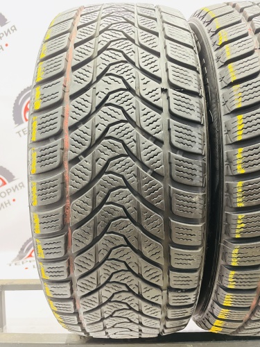 Delinte Winter WD1 R16 205/55