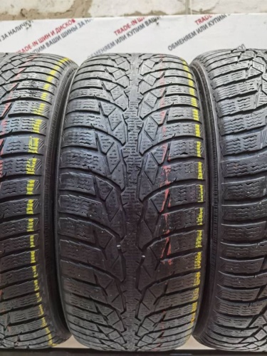 Nokian WR D4 R17	225/55