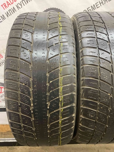 Triangle Snow Lion R16 205/55 91T