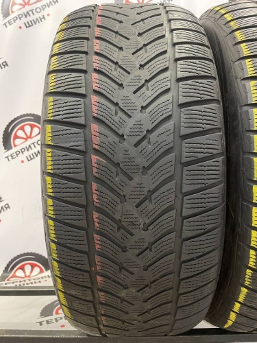 Goodyear UltraGrip Performance  R20 255/50