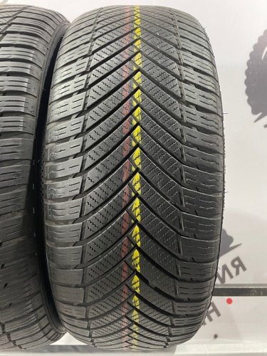 Minerva All Season Master R16 205/55