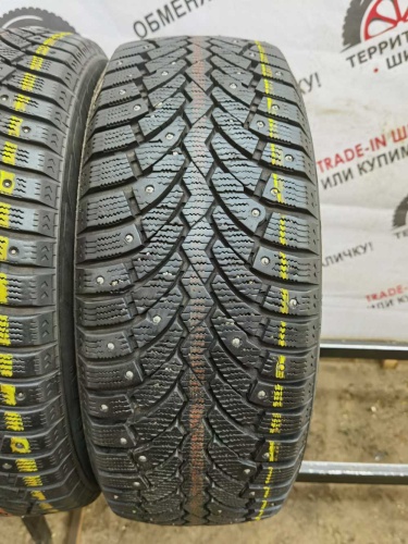 Formula Ice Edge 205/55 91T R16