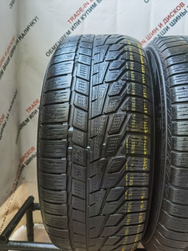 Nokian Tyres WR G2 225/55 R16