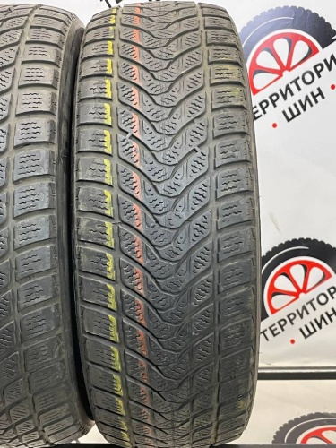 Delinte Winter WD1 R16 215/65