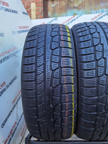 Nokian Tyres WR R17 225/60