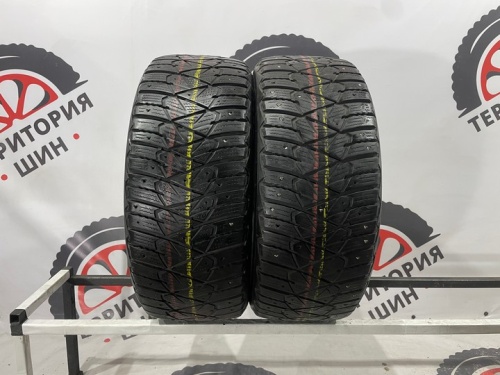 Dunlop Ice Touch R16 225/55