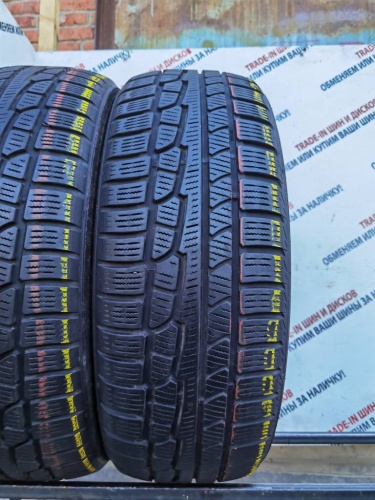 Nokian Tyres WR R17 225/60