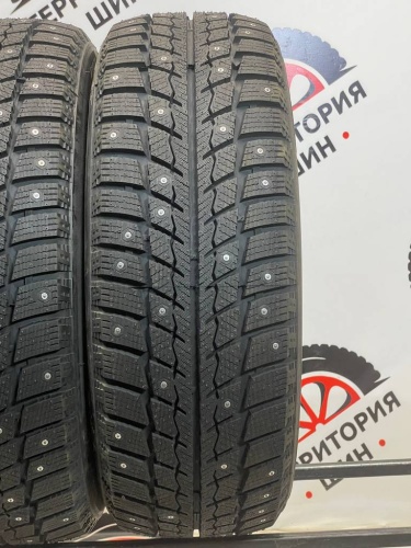 Zeta Antarctica ICE R16 225/60