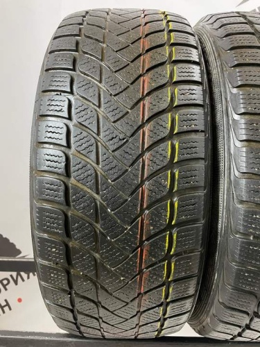 Landsail Winter Lander R17 215/55